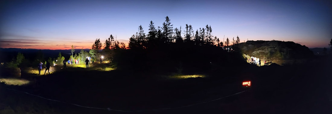 Gimse by night